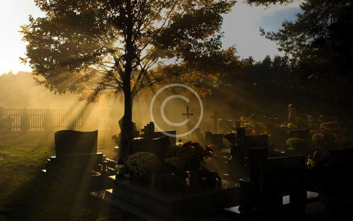 iStock_000006346120_graveyard.jpg